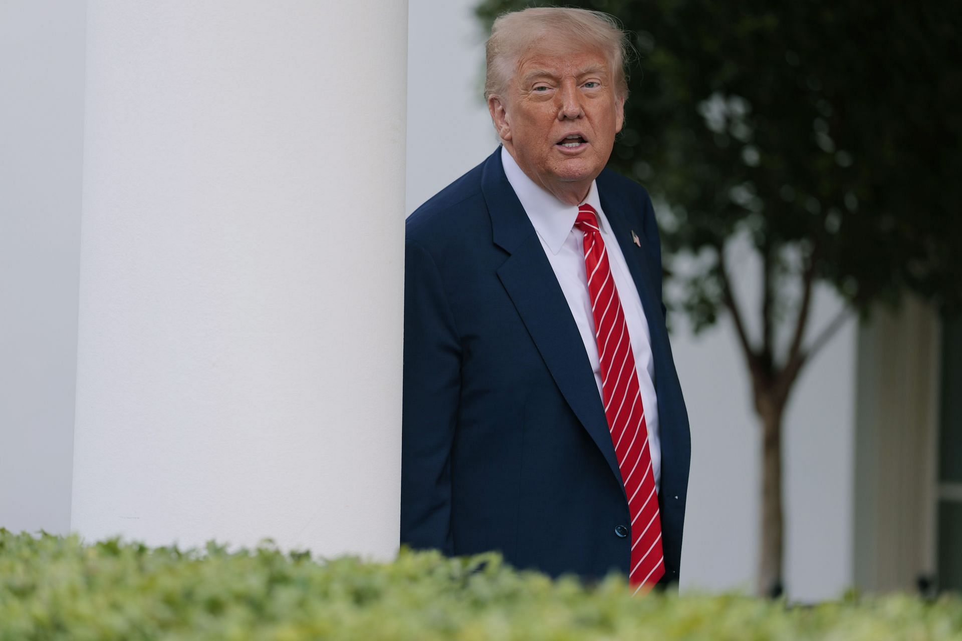 The tennis legend has frequently lambasted President Trump on social media - Source: Getty